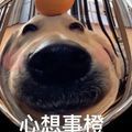 https://p0.meituan.net/userheadpicbackend/b7b4ebfde494a63591db9548da86859e62985.jpg%40120w_120h_1e_1c_1l%7Cwatermark%3D0