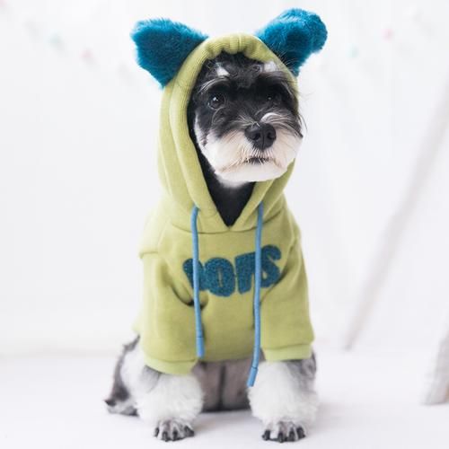 宠物狗服装卫衣怎么搭配_宠物狗服装卫衣怎么搭配好看