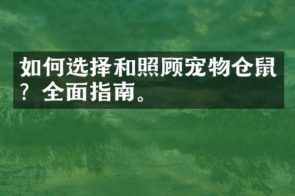 如何选择和照顾宠物仓鼠？全面指南。