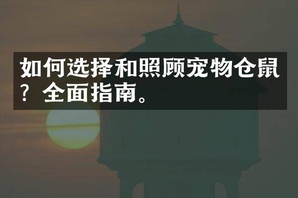 如何选择和照顾宠物仓鼠？全面指南。