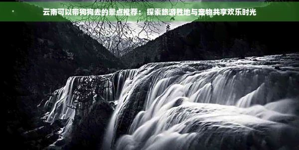 云南可以带狗狗去的景点推荐： 探索旅游胜地与宠物共享欢乐时光