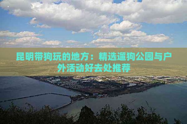 昆明带狗玩的地方：精选遛狗公园与户外活动好去处推荐