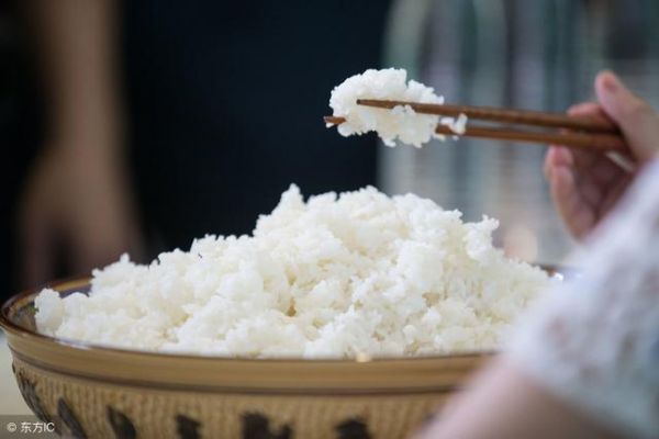 养狗小知识：过年期间，这5种人类食品，也能给比熊犬吃