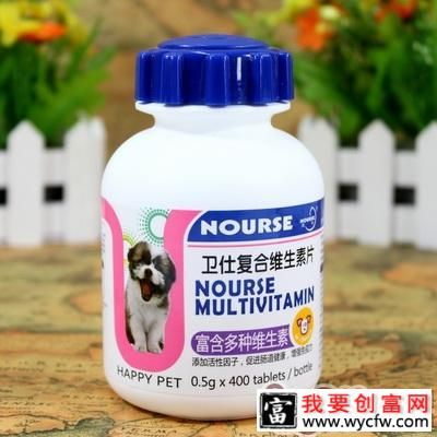狗狗秋季合理饮食推荐