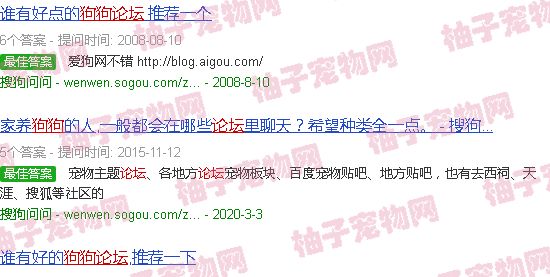 狗狗论坛哪个好