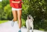 养犬人应有的态度