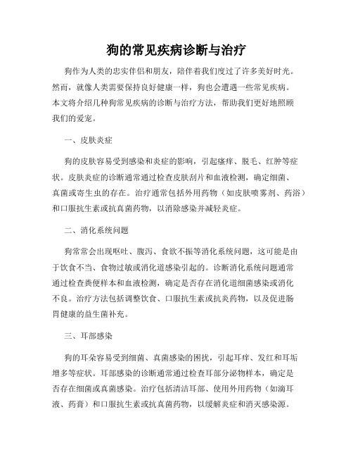 狗的常见疾病诊断与治疗