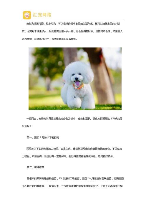 宠物狗三大疾病的预防常识