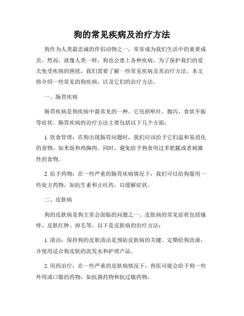 狗的常见疾病及治疗方法
