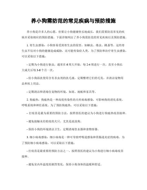养小狗需防范的常见疾病与预防措施