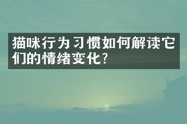 猫咪行为习惯如何解读它们的情绪变化？