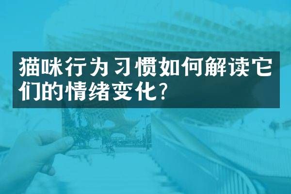 猫咪行为习惯如何解读它们的情绪变化？