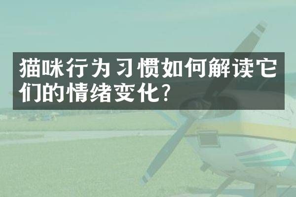 猫咪行为习惯如何解读它们的情绪变化？