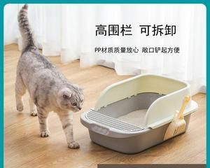 如何训练猫咪使用猫砂（宠物的必修技能-猫砂训练）