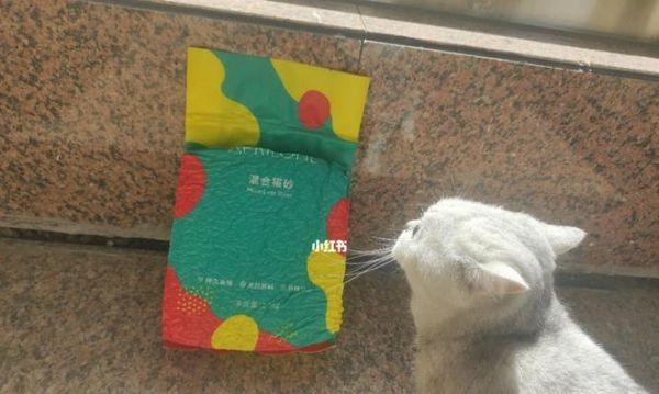 让你的猫咪爱上猫砂——教你如何训练猫咪使用猫砂（宠物养成必备）