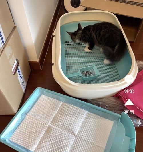 猫咪吃了猫砂会有什么影响？（探讨猫咪误食猫砂的危害及应对方法）