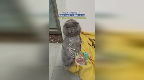 男子被自家猫咬了一口，将猫咪装在袋子里，猫猫一脸不屑，猫：微笑只是礼貌，不代表我被征服