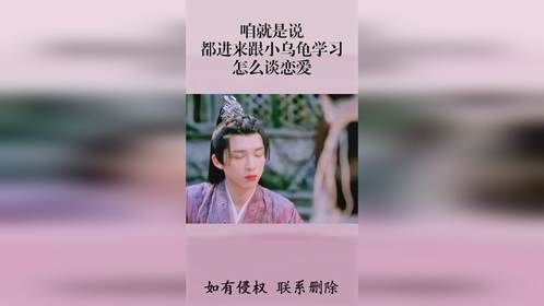 咱就是说，都进来跟小乌龟学习怎么谈恋爱