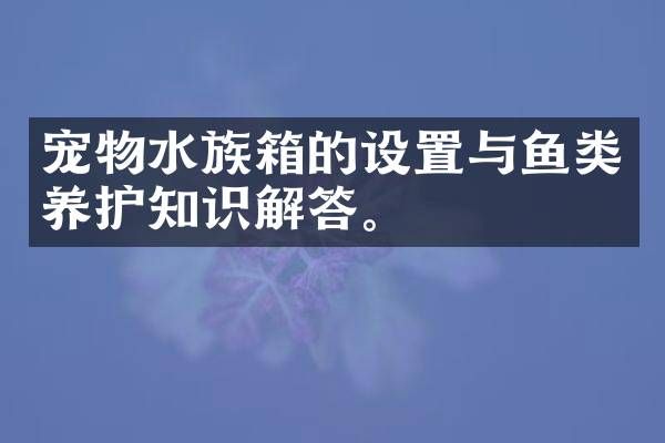 宠物水族箱的设置与鱼类养护知识解答。