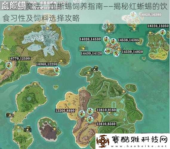 创造与魔法