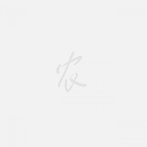 养鸡为何要补充维生素？如何补充？-图片版权归惠农网所有