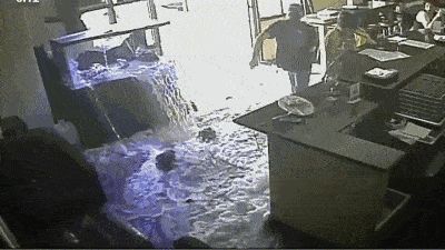大型鱼缸寿命：大型鱼缸的寿命与其材质、维护情况以及使用环境等因素密切相关
