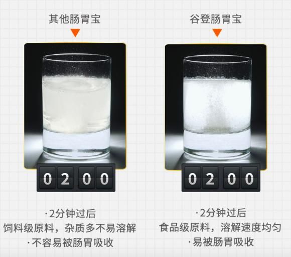 谷登肠胃宝，为宠物肠胃保驾护航
