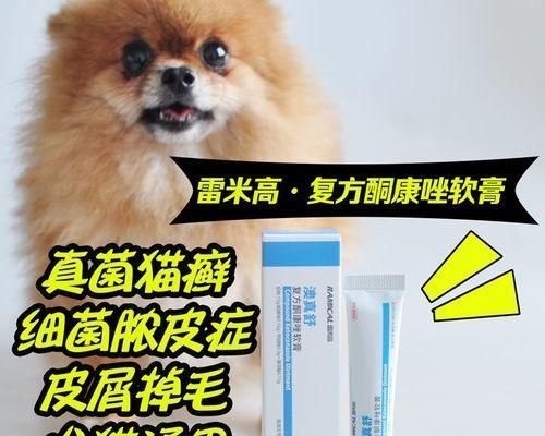 狗狗生病怎么办（如何给狗狗补充营养）