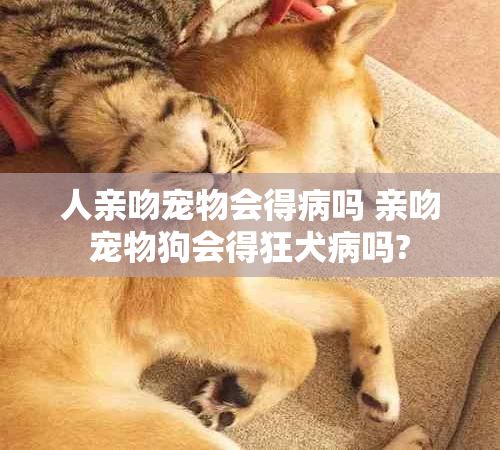 人亲吻宠物会得病吗 亲吻宠物狗会得狂犬病吗?