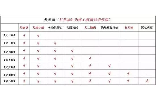 带狗打疫苗注意什么 狗狗注射疫苗全套攻略