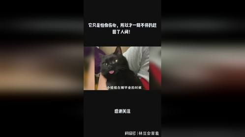 它只是怕你伤心，所以才一刻不停的赶回了人间！