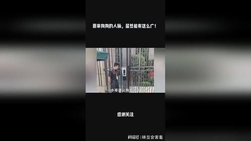 原来狗狗的人脉，居然能有这么广！