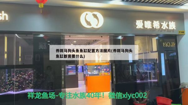 温州水族批发市场有哪些地方卖，温州淡水鱼批发市场在哪里？，温州水族批发市场在哪里温州淡水鱼批发市场在哪里 观赏鱼水族批发市场 第3张