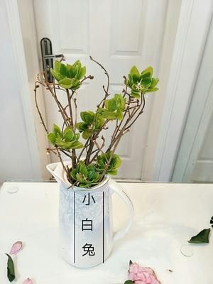 豌豆壳花的做法 步骤11
