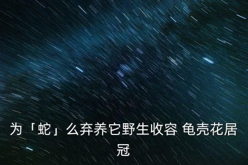 为「蛇」么弃养它野生收容 龟壳花居冠