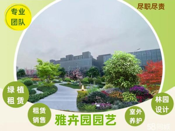 写字楼绿植租摆,办公室植物租赁,绿植包月养护,花卉租摆,花卉绿植