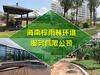 园林景观绿化设计施工养护一体化,苗木花卉销售租摆 修枝剪枝 栽树种树