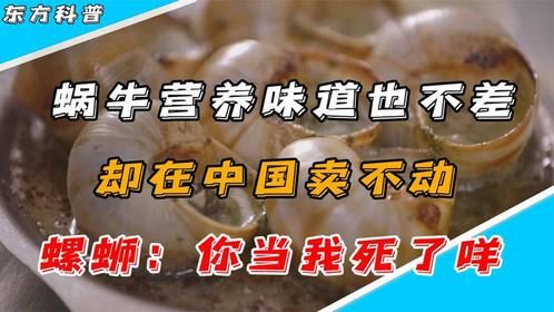 蜗牛营养味道也不差，却在中国卖不动，螺蛳：你当我死了咩