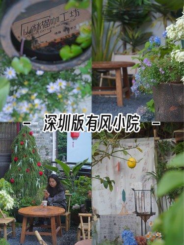 在深圳不在大理 | 繁华都市的有风小院 治愈