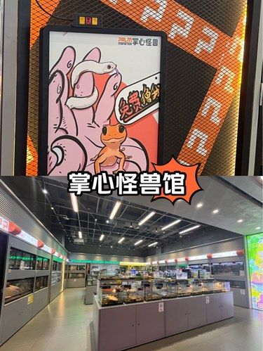 深圳还是太超前了，商场里居然还有这种地方