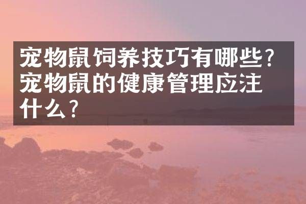宠物鼠饲养技巧有哪些？宠物鼠的健康管理应注意什么？