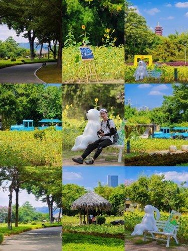 园博苑拍到了梵高的向日葵花海和星空图‼