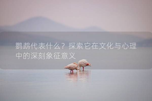 鹦鹉代表什么？探索它在文化与心理中的深刻象征意义