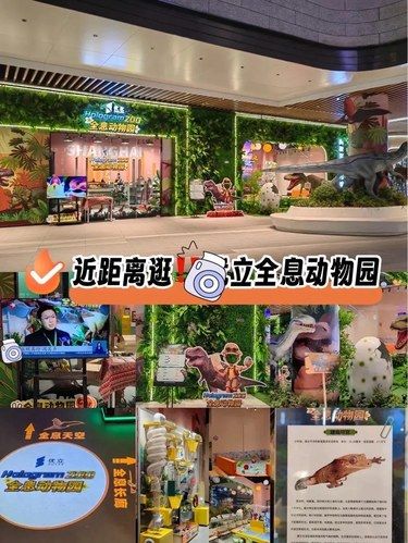 这家亲子乐园好好玩｜团购优惠✅近距离逛动物园