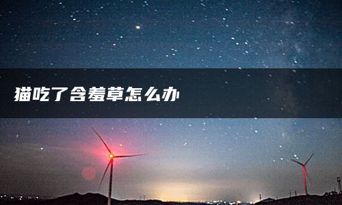 猫吃了含羞草怎么办