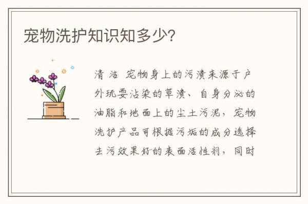 宠物洗护知识知多少？