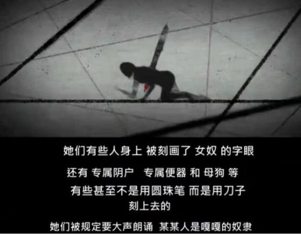 母狗行为引导与训练全攻略，专业指南，远离政治话题，让宠物更听话！ 第2张