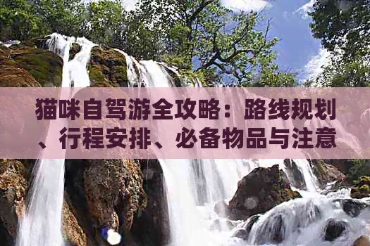 猫咪自驾游全攻略：路线规划、行程安排、必备物品与注意事项一网打尽！