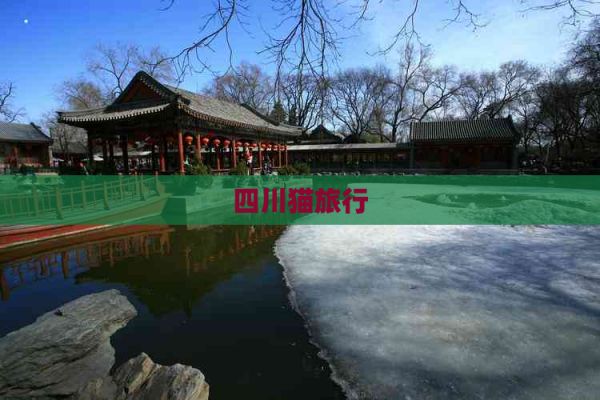 四川猫旅行