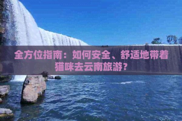 全方位指南：如何安全、舒适地带着猫咪去云南旅游？
